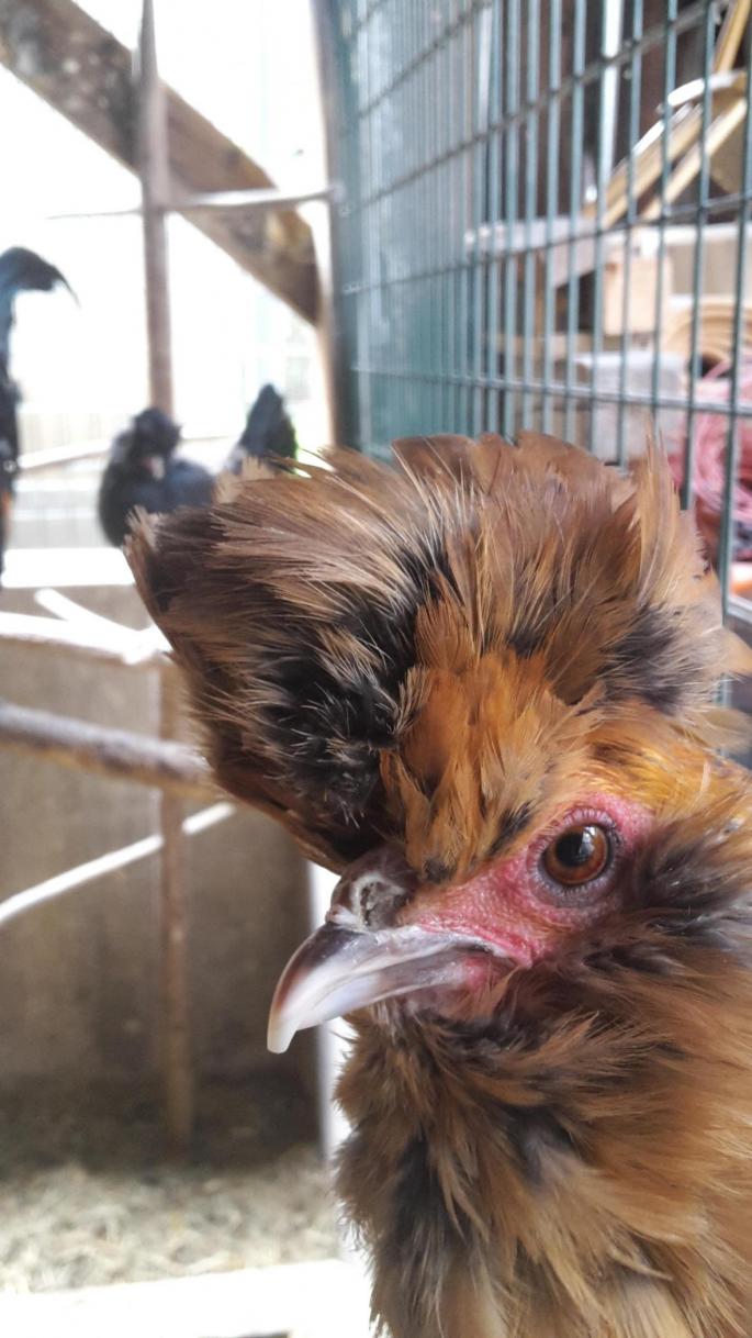 © Theresa Venier Huhn