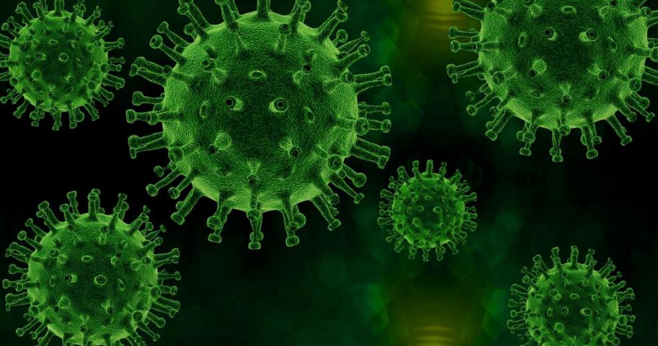 virus